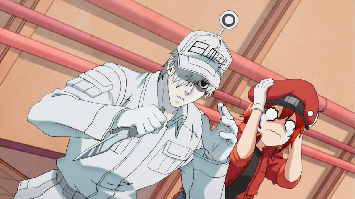 c6d4807fbf476641c0c8cd41bd3146762ac4512br1-1200-675v2_uhq