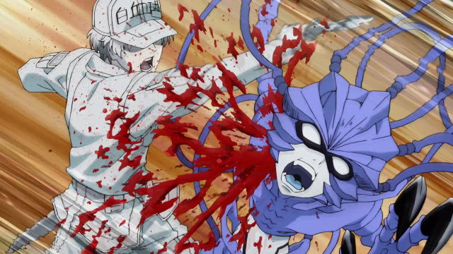 white-blood-cell-attacks